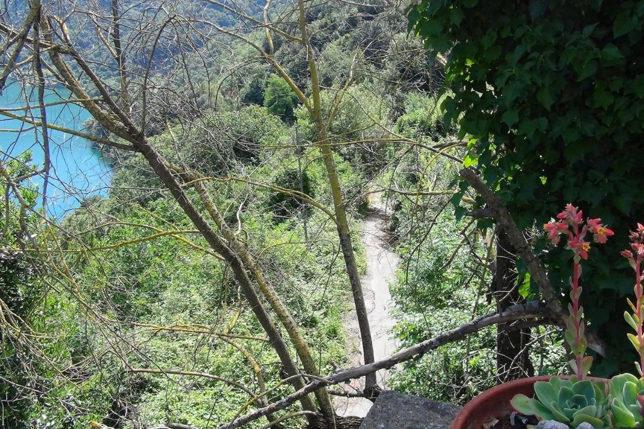 Relax Sul Lago Apartman Genzano di Roma Kültér fotó